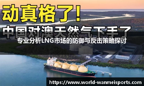 专业分析LNG市场的防御与反击策略探讨